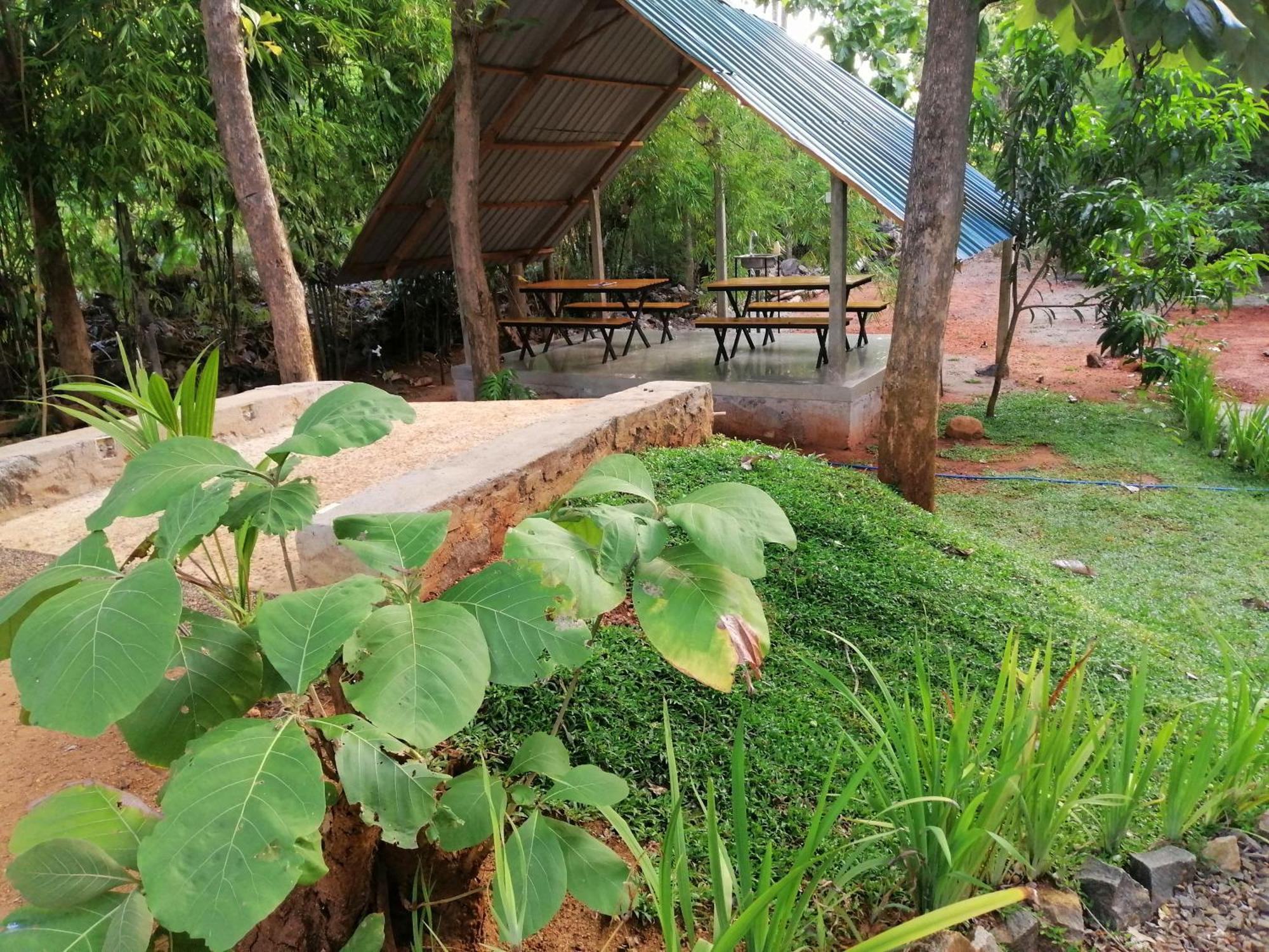 Malwathu Oya Forest Garden Anuradhapura Exterior foto